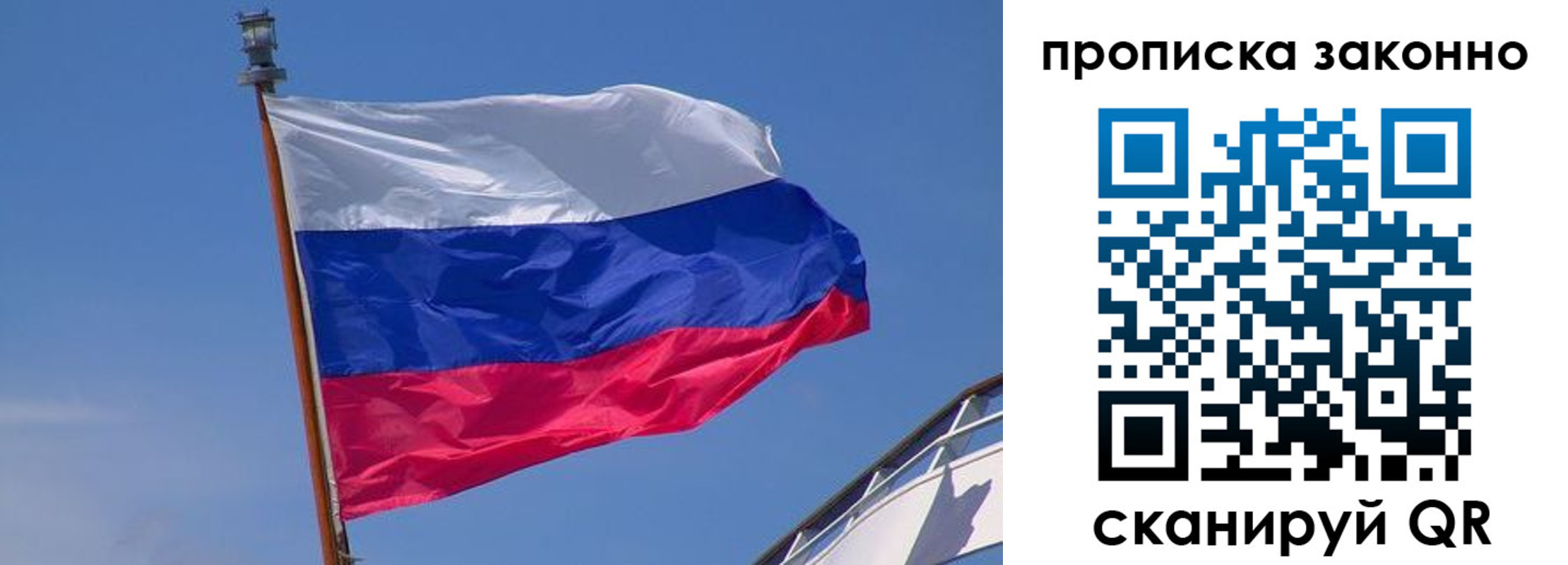 прописка для работы в Лосино-Петровском